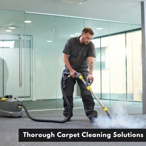 Pet Urine and Odor Removal in Columbus, MT